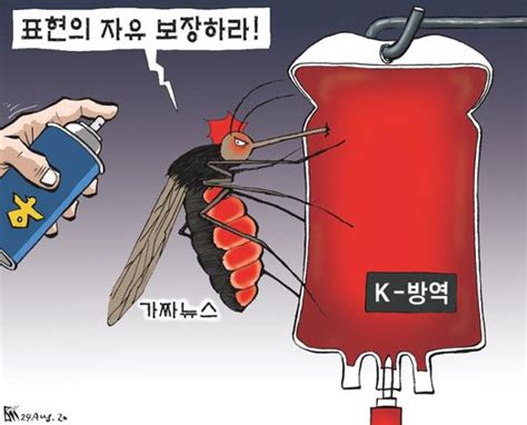 한국일보 8월 24일 만평 네이트 뉴스