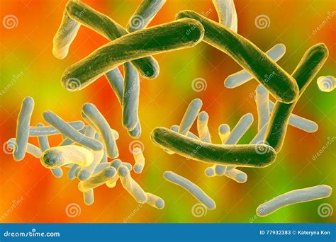 细菌结核杆菌 库存例证 插画 包括有 呼吸 例证 微生物学 生活 显微镜 关闭 电池 传染 77932383