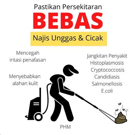 Bahaya Sengaja Terdedah Pada Najis Unggas And Cicak Boleh Sebabkan