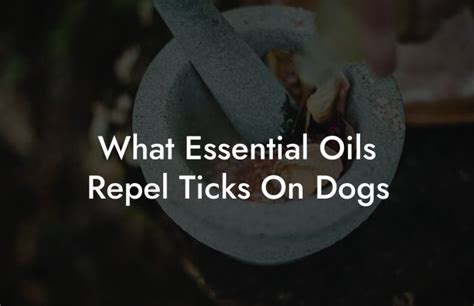 What Essential Oils Repel Ticks On Dogs Oshu Artisan Essential Oils