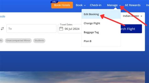 How To Download Indigo Flight Ticket Pdf Online 2024 Dreamtrix