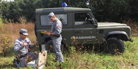 Il Bilancio Annuale Delle Attivit Dei Carabinieri Forestali In Abruzzo