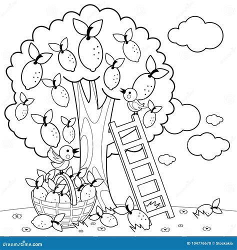 Lemon Tree Harvesting. Coloring Book Page Stock Vector - Illustration ...