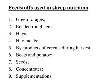 Ppt Nutrition Of Sheep Powerpoint Presentation Free Download Id