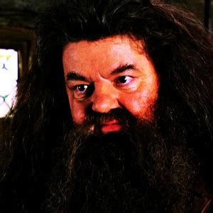 Rubeus Hagrid The Rowdy Girls Fan Art 40062644 Fanpop