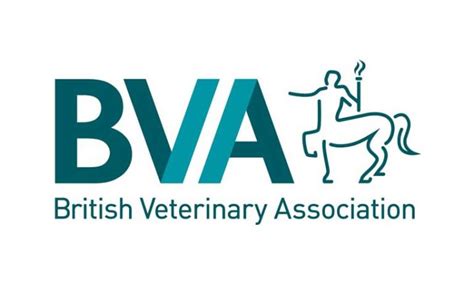 BVA Calls For Holistic Approach To RCVS Governance Reform In Its