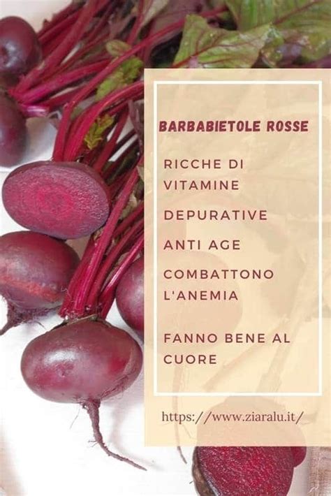 Barbabietola Rossa Propriet Benefici Uso In Cucina Barbabietola