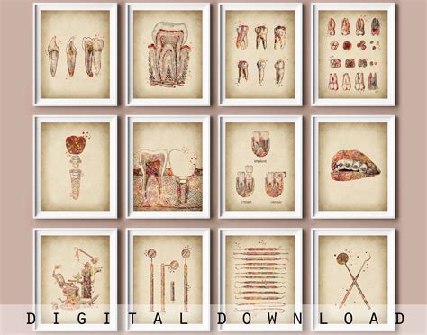 Set of 12 Dentist Office Decor Vintage Medical Art Doctor Tools Tooth
