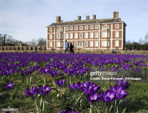 52 Ham House Gardens Stock Photos, High-Res Pictures, and Images ...