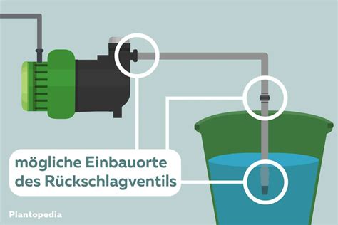 R Ckschlagventil F R Gartenpumpe Einbauen