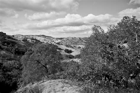 Coyote Valley Open Space Olympus Zuiko 1 2 8 24mm F 8 DSC0 Charles