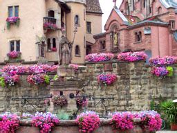 Guide to the wines, villages and terroirs of Alsace - Eguisheim