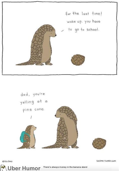 Armadillo problems | Funny Pictures, Quotes, Pics, Photos, Images. Videos of Really Very Cute ...