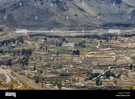 El Ca N Del Colca Uno De Los Ca Ones M S Profundos Del Mundo Per