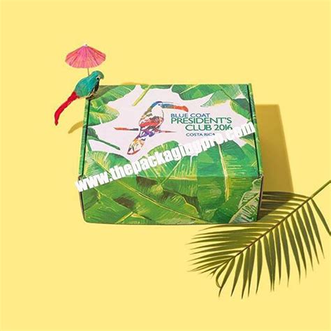 Custom Printed Corrugated Cardboard Paper Packaging Clothing Shipping Mailer Box