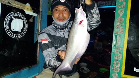 Mancing Riam Kanan Mlm Hri Spot Muara Kalaan Sisit MantuL YouTube