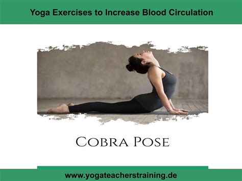 Yoga exercises to increase blood circulation | PPT | Fitness and
