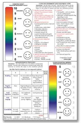 Chronic Pain Scale Chart