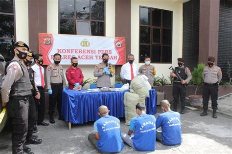 Polres Aceh Tengah Tangkap Tiga Pemilik 24 Kilogram Ganja Antara News