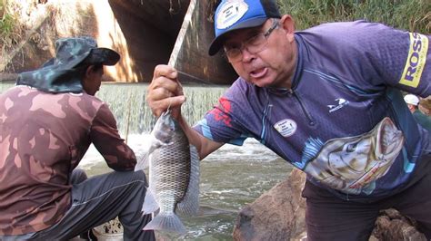 Pescando Til Pias No Bueiro Do Rio Cabo Verde Youtube