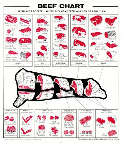 Diagram Of Beef Cuts Of Meat Parts Of Beef Cattle Diagram