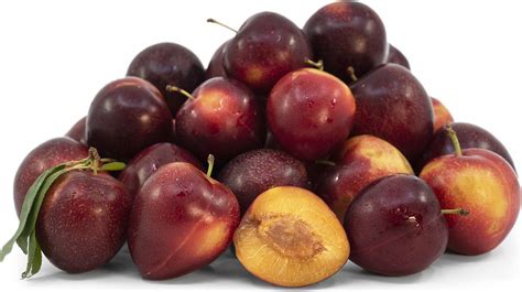 Cherry Plums Information Recipes And Facts