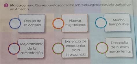 Ayuda Es Para Ma Ana Doy Corona Y Doy Punta La Mejor Respuestamarca Con