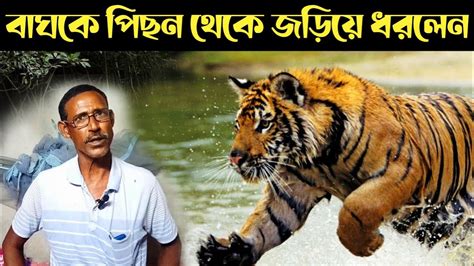 বাঘে মানুষে দেহ টানাটানি Sundarban Royal Bengal Tiger Youtube