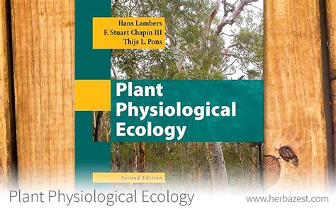 Plant Physiological Ecology | HerbaZest