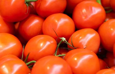 Tomato Market Price Today In Delhi And Rajasthan On 10 April 2024