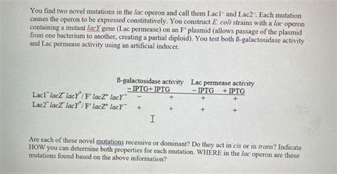 Solved You find two novel mutations in the lac operon and | Chegg.com