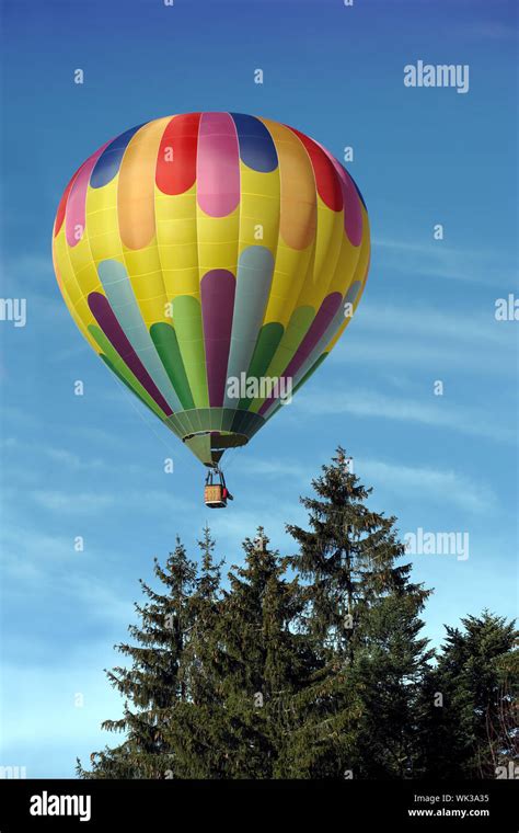 Hot air balloon above the trees Stock Photo - Alamy