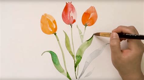 Aquarell Tulpen Malen 6 Schritte Anleitungen