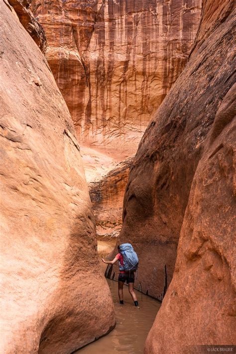 Hiking Grand Staircase Escalante And The Glen Canyon Region