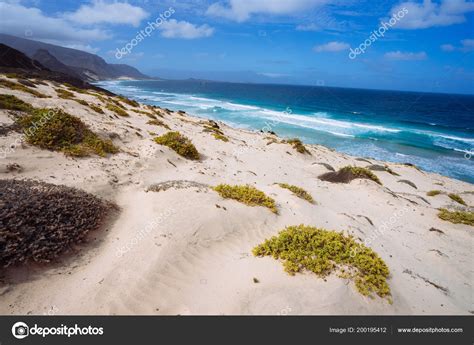 Desoladora Paisagem Desolada De Dunas De Areia E Plantas Desérticas De