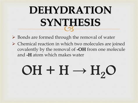 Dehydration Synthesis Animation