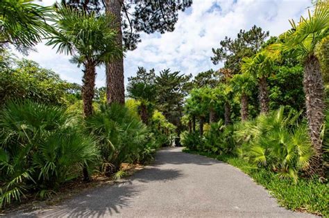 Villa Cap Ferret Luxus Ferienhaus Frankreich Atlantikküste