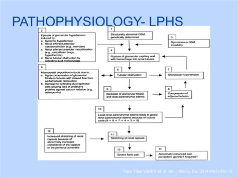 Loin Pain Hematuria Syndrome PPT