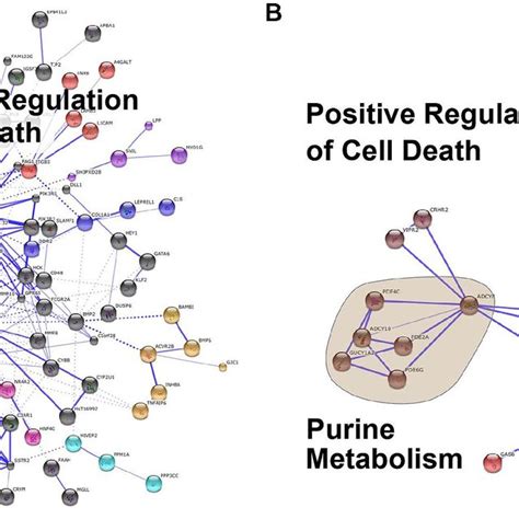 Protein-protein interaction analysis. Protein-protein interaction ...