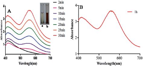 Uv Vis Spectra Of Aunps Synthesized By Longan Fruit Juice Inset A And