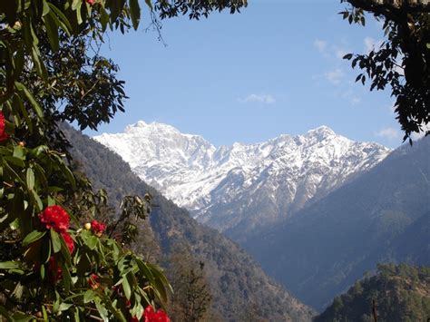 himalayan forests provide  hill people forests asia