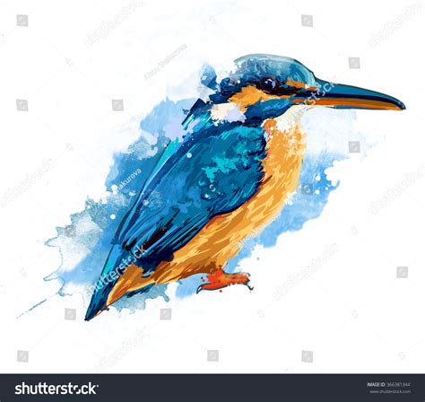 Bird Flying Kingfisher Watercolor Illustration 366381344 Shutterstock