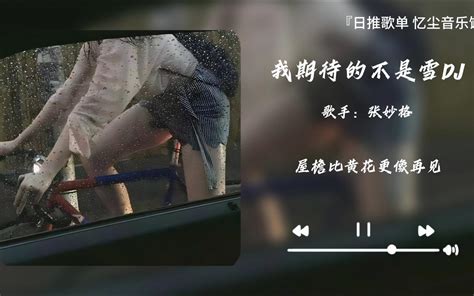 我期待的不是雪dj版 张妙格 Dfdklsafjcjiafja Music 哔哩哔哩视频