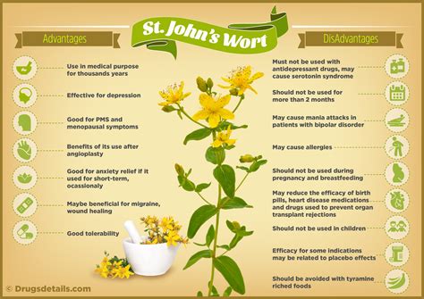 St. John’s Wort – Drug Details