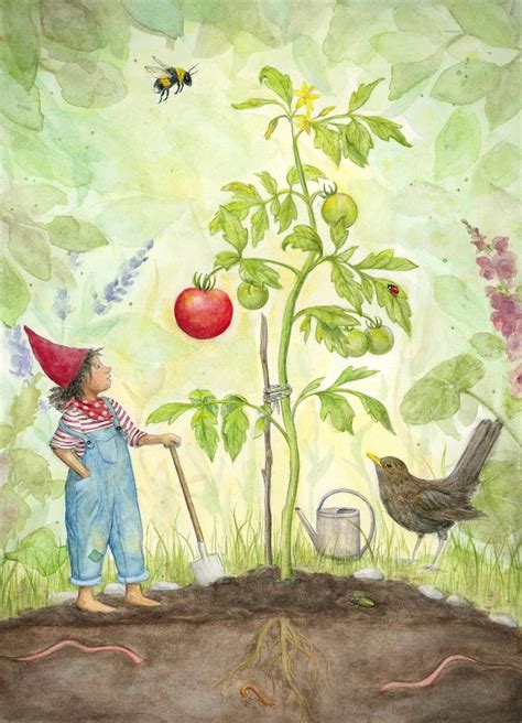 Mhairi Hellbrandt Postcard | First Ripe Tomato – Conscious Craft