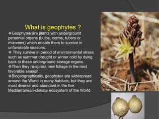 Geophytes Of Western Ghats Ppt