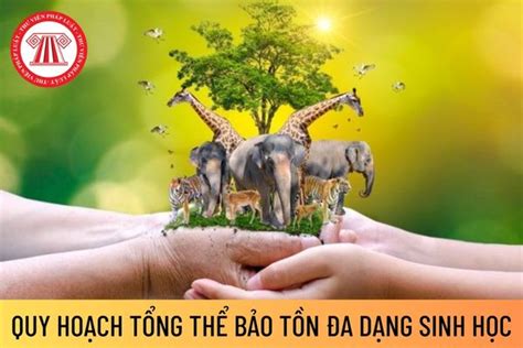 Quy hoạch tổng thể bảo tồn đa dạng sinh học là gì Thời kỳ quy hoạch