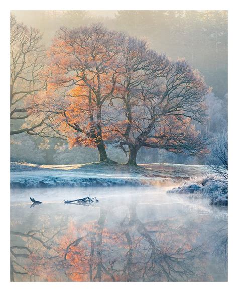 winter aesthetic exploration aesthetics  design