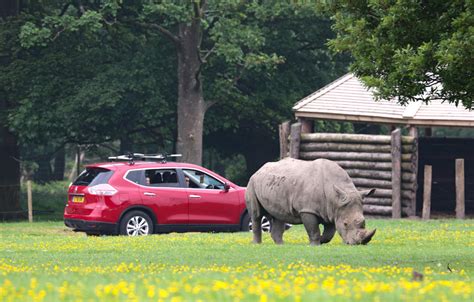 Knowsley Safari Park