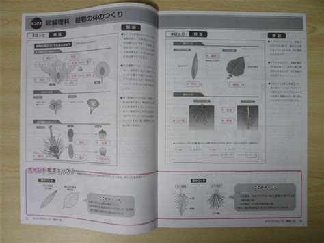 Yahooオークション 夏季・中学 2022年版 サマーアプローチ 理科 1